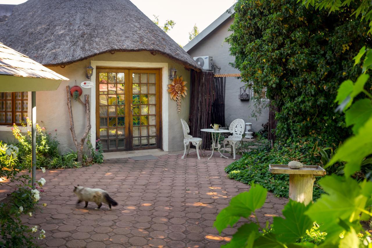 Morning Glory Cottages Venterstad Exterior foto